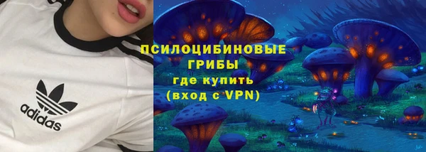 прущие крисы Алзамай